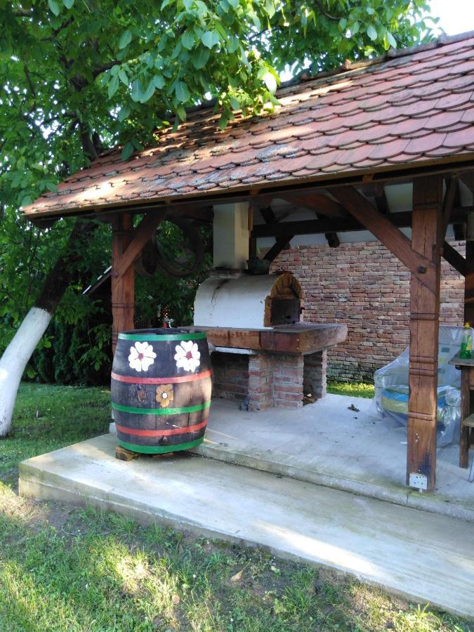 Umjetnicka Etno Kuca Luka Appartement Podravske Sesvete Buitenkant foto